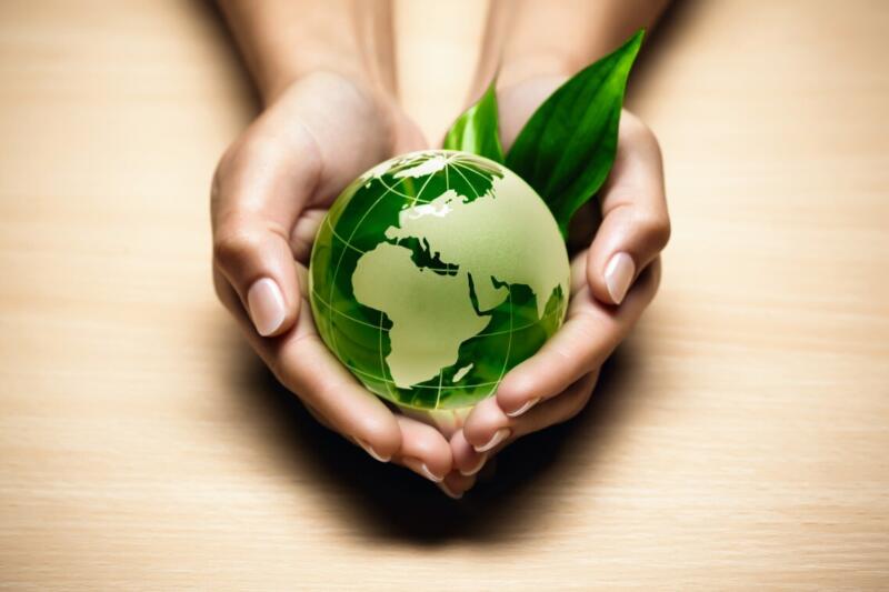 Environment